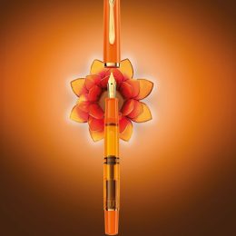 Pelikan M200 Orange Delight - Special edition